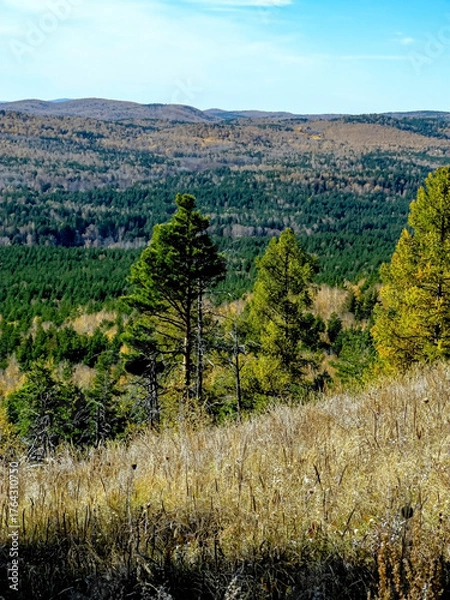 Fototapeta view of the autumn forest from the top of a low mountain, southern Urals