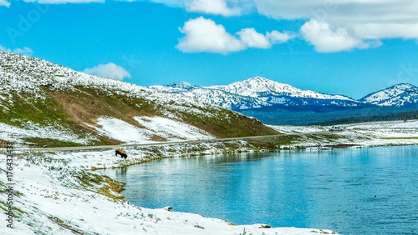 Obraz Yellostone View