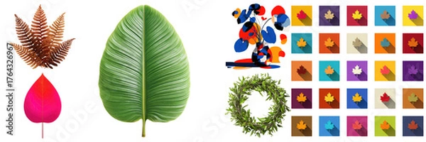 Fototapeta Collection of Diverse Plant Elements, Including Natural Leaves, Wreaths, and Colorful Maple Leaf Icons, all displayed on transparent background