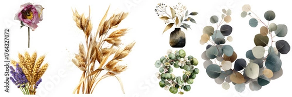 Fototapeta Charming floral collection with diverse arrangements of dried flowers, botanical elements and ornamental herbs on transparent background