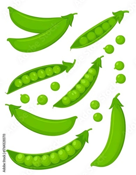 Fototapeta Collection of fresh, bright green pea pods and loose peas on white