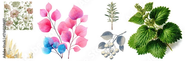 Fototapeta Artistic botanical collection featuring floral elements, pink leaves, and green plants, providing visual texture on transparent background.