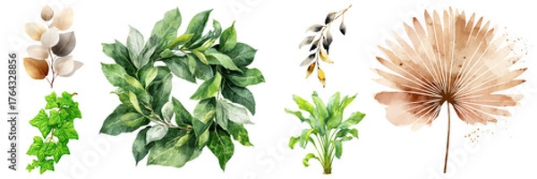 Fototapeta Watercolor botanical illustration collection featuring diverse leaf shapes, styles, and colors, perfect for design projects on transparent background