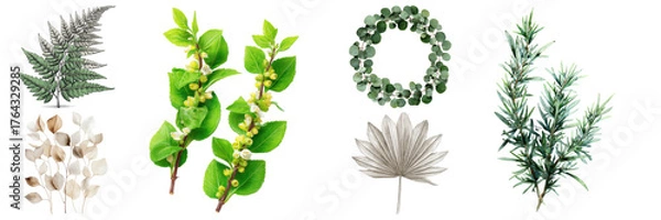 Fototapeta Assortment of decorative leaves and botanical elements featuring green, silver and golden textures ideal for graphic design on transparent background.