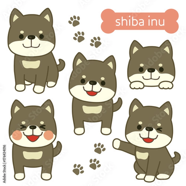 Fototapeta 柴犬　イラスト　黒