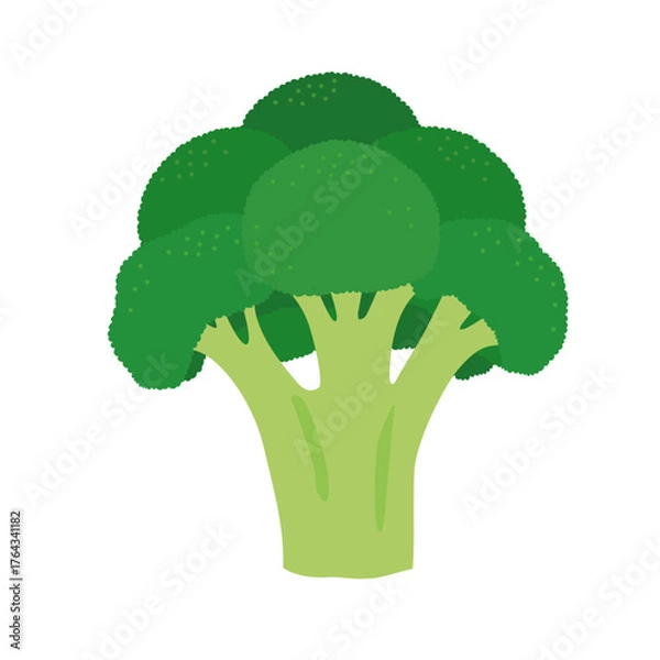 Obraz ブロッコリーのシンプルなイラスト