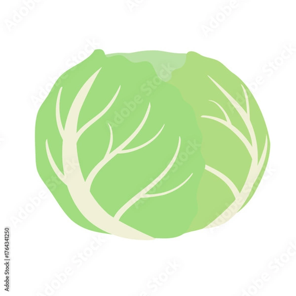 Obraz キャベツのシンプルなイラスト