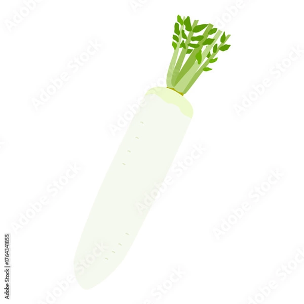 Obraz 大根のシンプルなイラスト