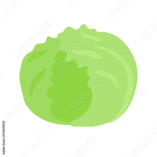 Obraz レタスのシンプルなイラスト