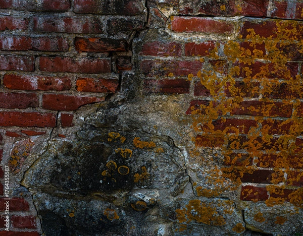 Fototapeta Grunge Brick Wall with Crack.
