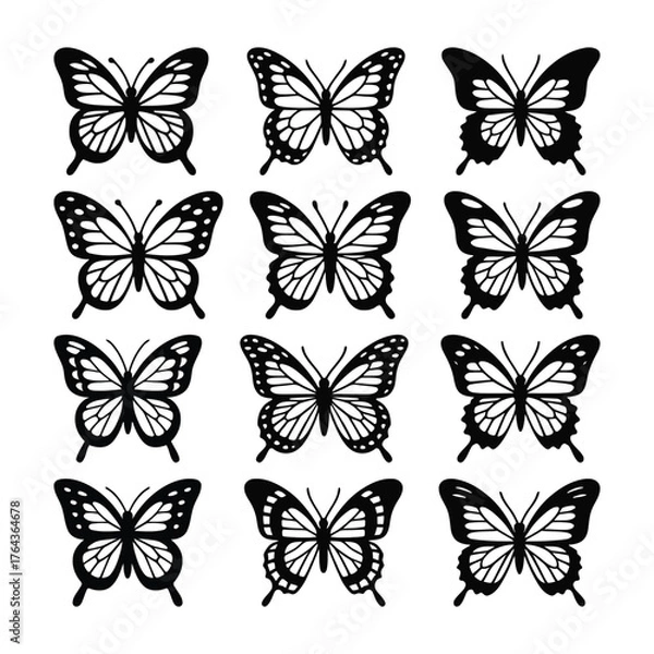Fototapeta  Butterfly Silhouette Vector Set. Elegant Butterfly Outline Vector Pack. Black and White Line Art Clipart Collection.