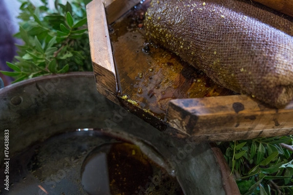 Obraz Olio di lentisco