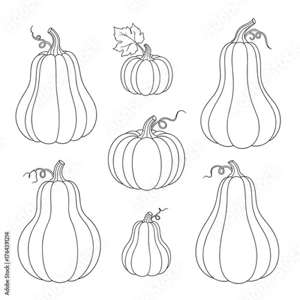 Obraz Elegant Pumpkin Line Art Collection for Autumn and Thanksgiving Designs.