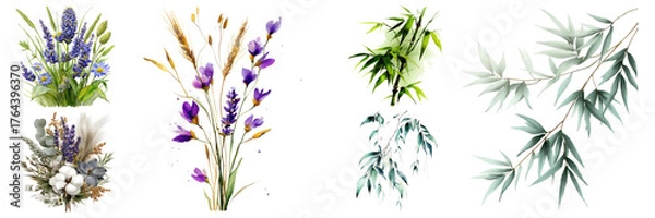 Fototapeta Elegant floral and botanical watercolor compositions featuring lavender, eucalyptus, cotton and wheat, perfectly isolated on transparent background