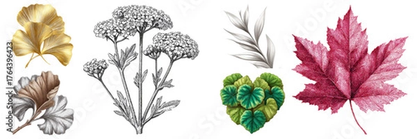 Fototapeta Stunning collection of glittery and detailed botanical illustrations showcasing various leaf shapes and textures, isolated on transparent background.