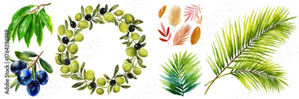 Fototapeta Watercolor collection featuring botanical elements like olives, wreaths, branches, and exotic leaves isolated on transparent background.