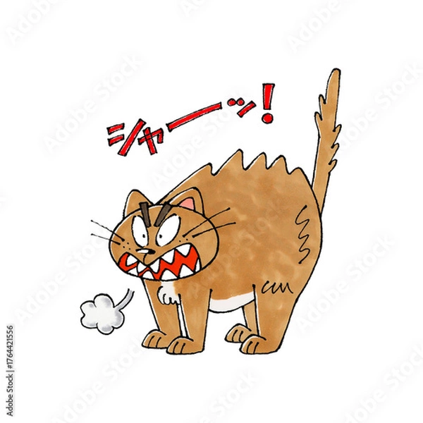 Obraz 怒る猫