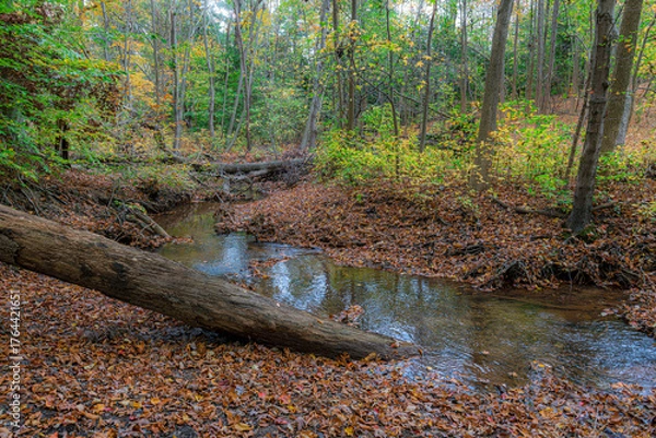 Obraz Nature Preserve