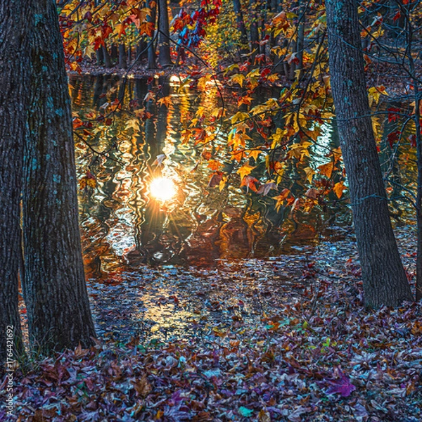 Obraz Autumn Abstract