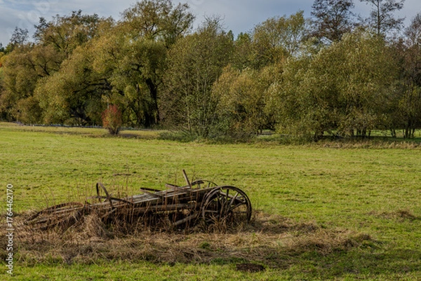 Fototapeta Alte Holzfarmgeräte liegen in einer Wiese, umgeben von Bäumen im Herbstlicht