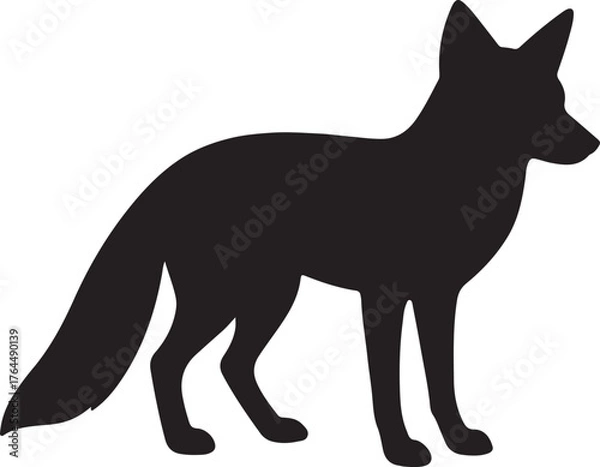 Obraz sillouette fox