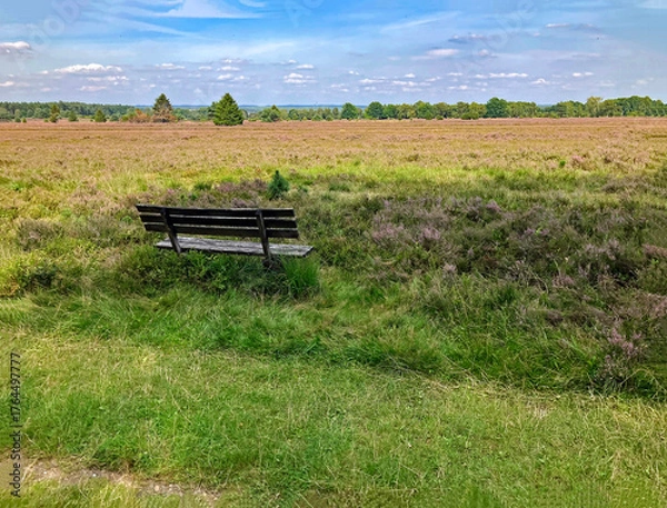 Obraz Heidelandschaft 