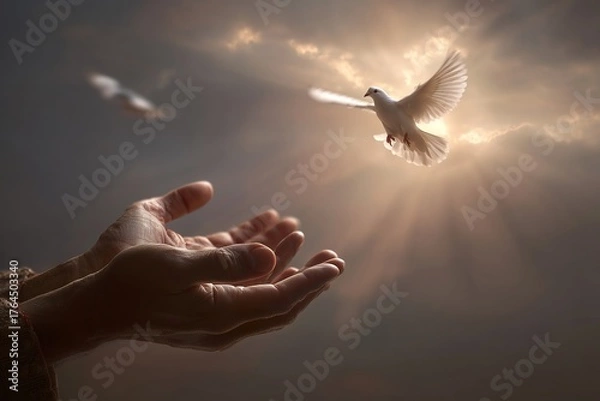 Fototapeta Hands Releasing a Dove Against a Dramatic Sky