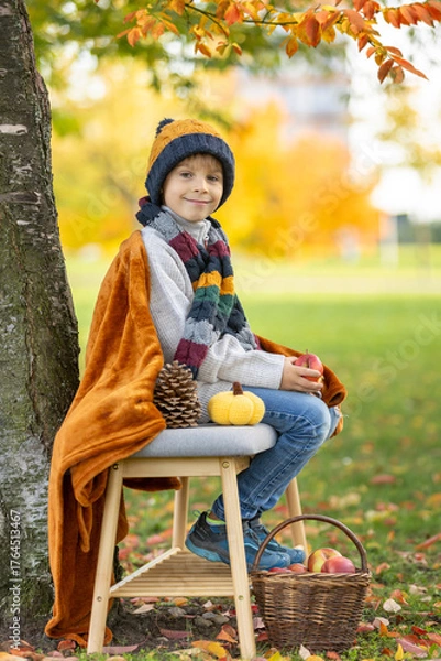 Fototapeta Adorable little child, boy in park on autumn day, beautiful sunny day, basket with apples