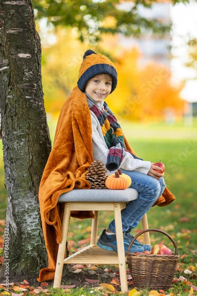 Fototapeta Adorable little child, boy in park on autumn day, beautiful sunny day, basket with apples