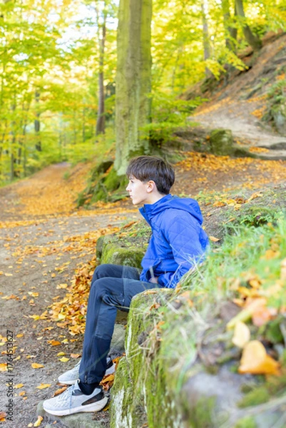 Fototapeta Ruins Helfenburk in Czech Republic, beautiful autumn castle with colorful trees, fall