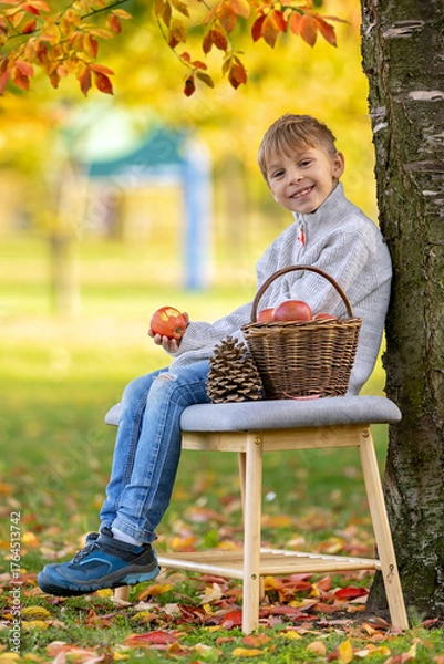 Fototapeta Adorable little child, boy in park on autumn day, beautiful sunny day, basket with apples