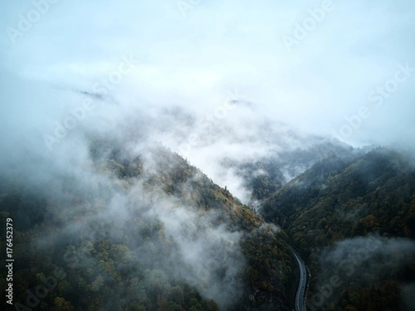 Fototapeta street from above trough a misty forest at autumn, aerial view flying through the clouds with fog and trees