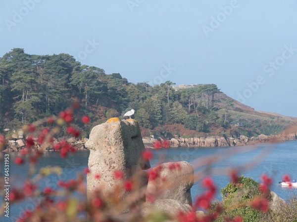 Obraz seagull at rebeurden