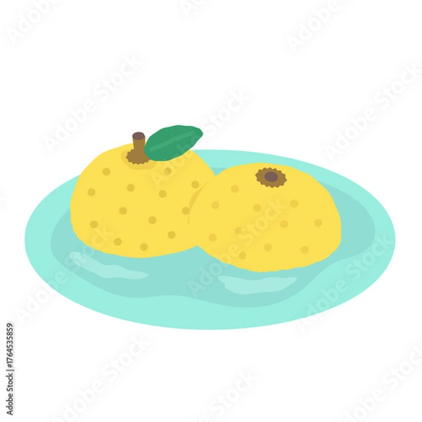 Fototapeta お風呂　冬至　柚子　イラスト