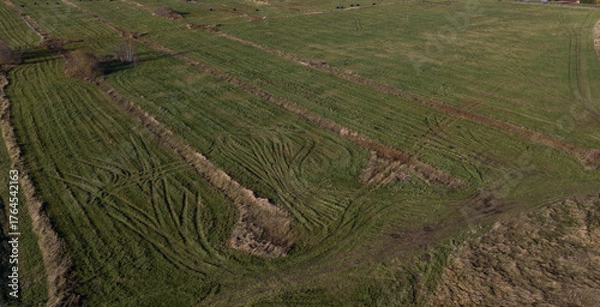 Obraz aero view to field