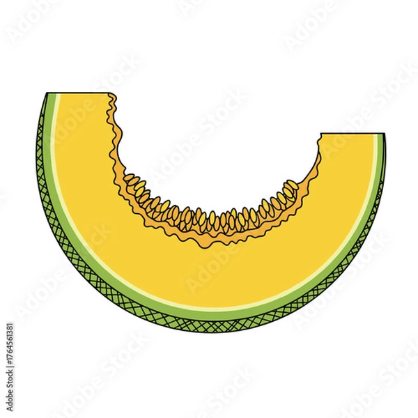 Fototapeta Slice of Cantaloupe Melon with Bite Marks.