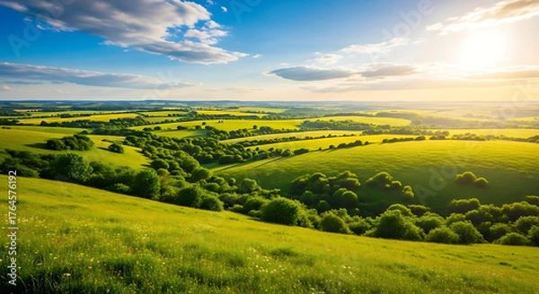 Fototapeta green field and blue sky