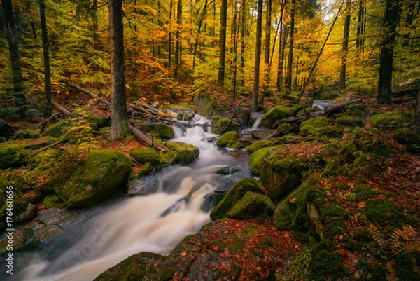 Fototapeta Fantasy and dark autumn forest with the best mystic atmosphere in the north of Bohemia, in Jizera mountains. like a fairy tale with pure water rivers and magic waterfalls.