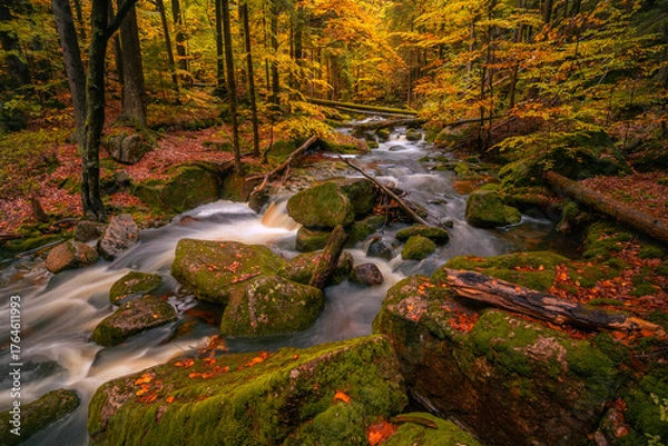 Fototapeta Fantasy and dark autumn forest with the best mystic atmosphere in the north of Bohemia, in Jizera mountains. like a fairy tale with pure water rivers and magic waterfalls.