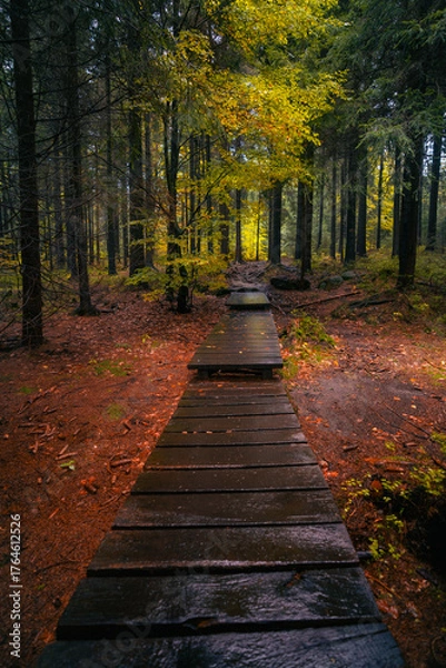 Fototapeta Wooden path in fantasy and dark autumn forest with the best mystic atmosphere in the north of Bohemia, in Jizera mountains. Like a path to fairy tale.