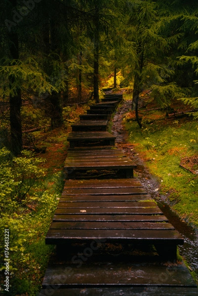 Fototapeta Wooden path in fantasy and dark autumn forest with the best mystic atmosphere in the north of Bohemia, in Jizera mountains. Like a path to fairy tale.