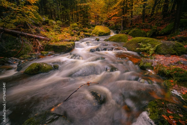 Fototapeta Fantasy and dark autumn forest with the best mystic atmosphere in the north of Bohemia, in Jizera mountains. like a fairy tale with pure water rivers and magic waterfalls.