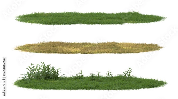 Obraz grass field isolate on a transparent background