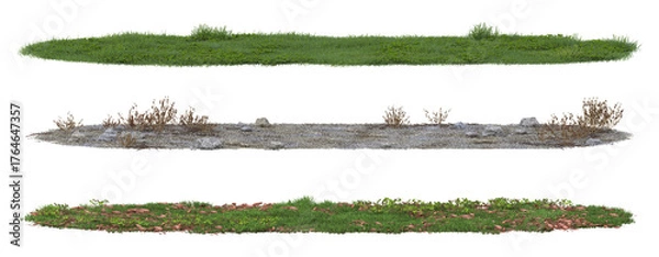 Obraz grass field isolate on a transparent background