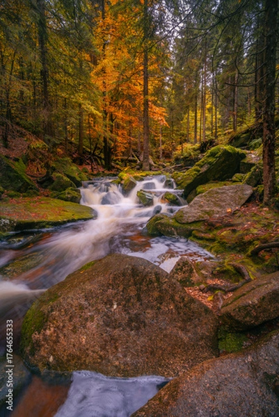 Fototapeta Fantasy and dark autumn forest with the best mystic atmosphere in the north of Bohemia, in Jizera mountains. like a fairy tale with pure water rivers and magic waterfalls.