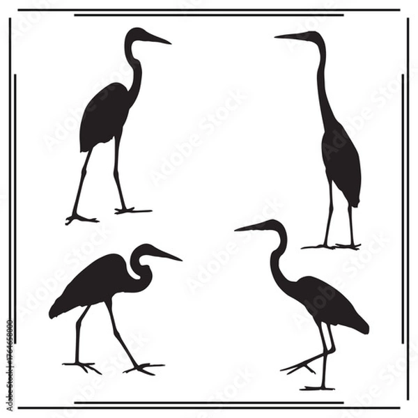 Fototapeta Set of Four Crane Silhouettes - Standing, Walking, and Preening Cranes - Elegant Bird Icons on White Background