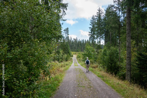 Obraz Wandern im hochschwarzwald Altglashütten, Deutschland