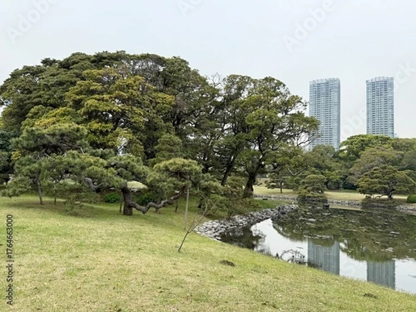 Fototapeta 
View of a city park with skyscrapers in the background in Tokyo, Japan
