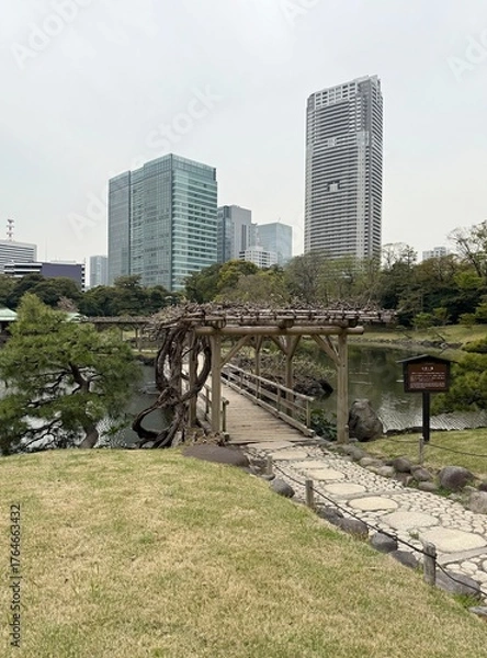 Fototapeta View of a city park with skyscrapers in the background in Tokyo, Japan