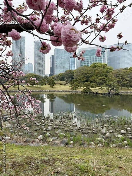 Fototapeta View of a city park with skyscrapers in the background in Tokyo, Japan